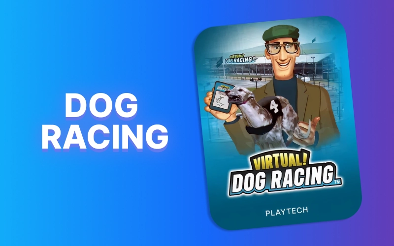 Watch virtual dog racing on 1Win and enjoy quick races with instant outcomes and varied betting markets.